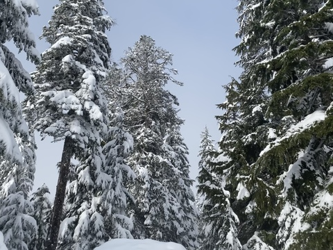 veexvixen OnlyFans - Free Access to 32 Videos & 49 Photos Onlyfans Free Access