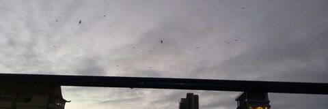 vegao94 OnlyFans - Free Access to 32 Videos & 49 Photos Onlyfans Free Access