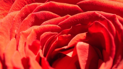 venusian.essence OnlyFans - Free Access to 32 Videos & 137 Photos Onlyfans Free Access