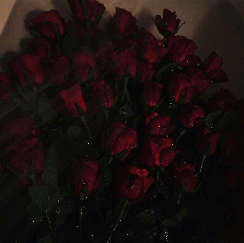 venusianskiss OnlyFans - Free Access to 32 Videos & 49 Photos Onlyfans Free Access