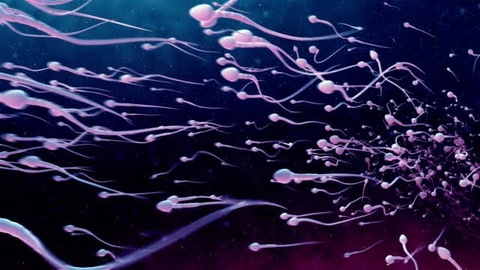 vespalover OnlyFans - Free Access to 32 Videos & 49 Photos Onlyfans Free Access