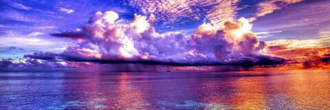 viennabronze OnlyFans - Free Access to 32 Videos & 103 Photos Onlyfans Free Access