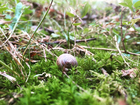 vincent_van_ghoe OnlyFans - Free Access to 32 Videos & 266 Photos Onlyfans Free Access