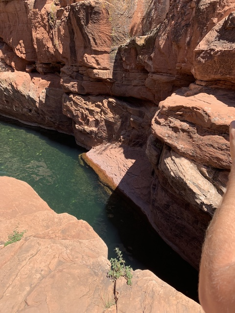 vitiligohomo OnlyFans - Free Access to 32 Videos & 49 Photos Onlyfans Free Access