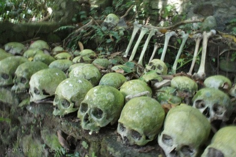 vivianthrash OnlyFans - Free Access to 233 Videos & 1065 Photos Onlyfans Free Access