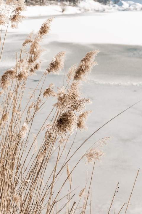 vividbrii OnlyFans - Free Access to 32 Videos & 49 Photos Onlyfans Free Access