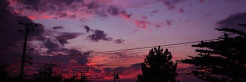 vixenbunny03 OnlyFans - Free Access to 32 Videos & 49 Photos Onlyfans Free Access