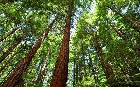 vlish OnlyFans - Free Access to 32 Videos & 49 Photos Onlyfans Free Access