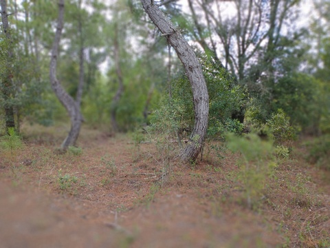 waggingturtletails OnlyFans - Free Access to 32 Videos & 78 Photos Onlyfans Free Access