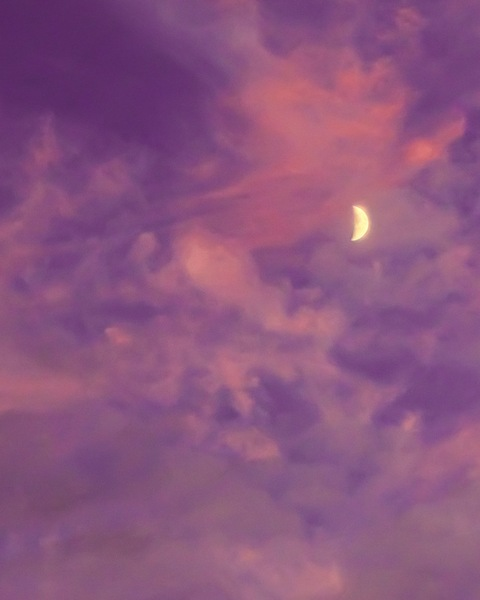 wavybabey OnlyFans - Free Access to 32 Videos & 49 Photos Onlyfans Free Access