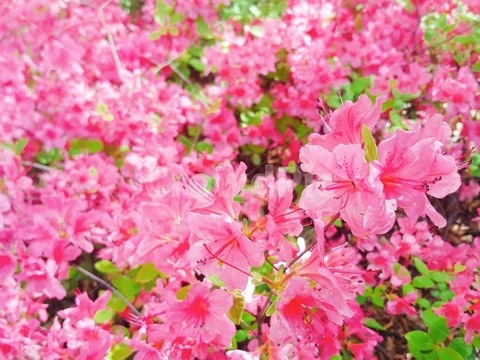 weedluvr69 OnlyFans - Free Access to 32 Videos & 49 Photos Onlyfans Free Access