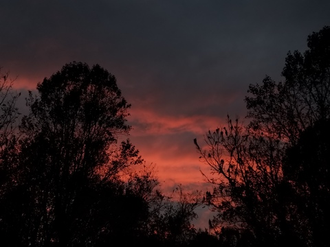 weightlesssun OnlyFans - Free Access to 32 Videos & 49 Photos Onlyfans Free Access