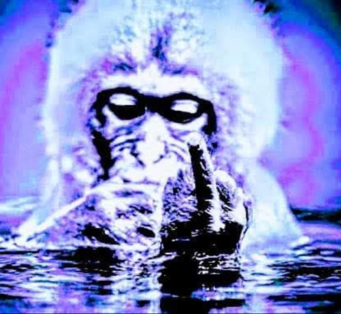 wet-monkey OnlyFans - Free Access to 32 Videos & 124 Photos Onlyfans Free Access