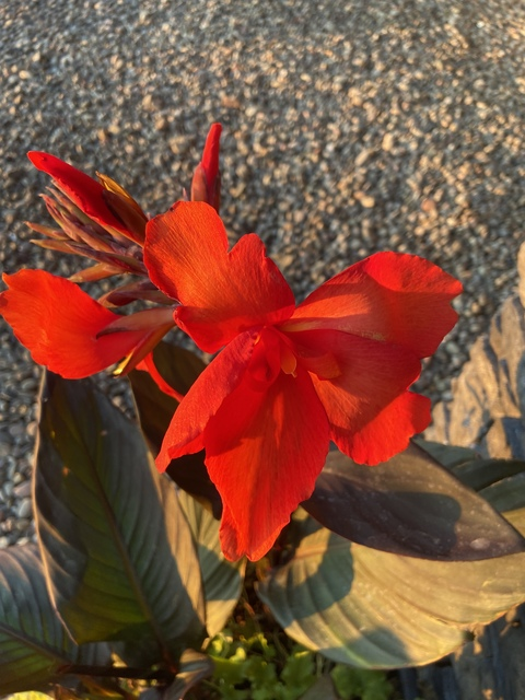 whatyouthinkingabout OnlyFans - Free Access to 32 Videos & 49 Photos Onlyfans Free Access