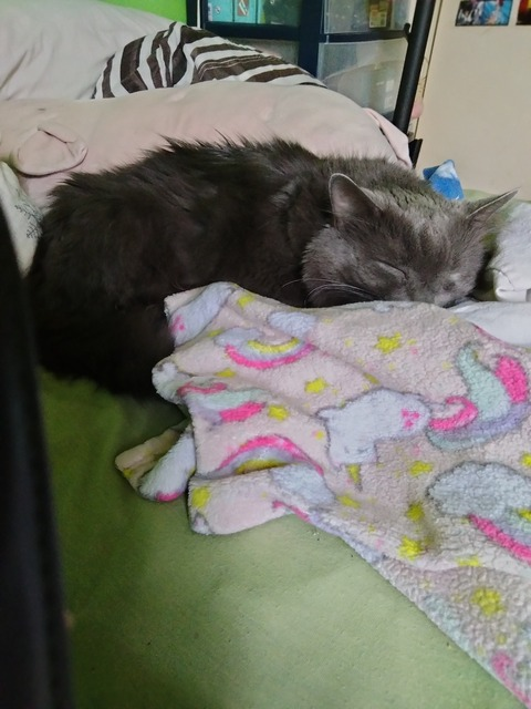 wiccan.whovian13 OnlyFans - Free Access to 32 Videos & 49 Photos Onlyfans Free Access