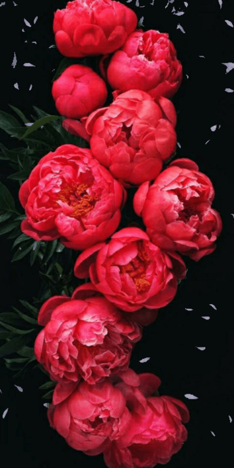 wild_bitch69 OnlyFans - Free Access to 32 Videos & 49 Photos Onlyfans Free Access