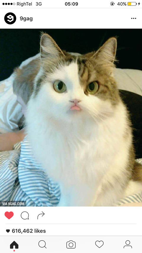 wildass OnlyFans - Free Access to 32 Videos & 49 Photos Onlyfans Free Access