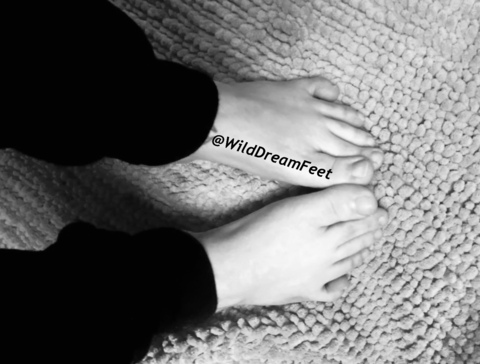wilddreamfeet OnlyFans - Free Access to 32 Videos & 193 Photos Onlyfans Free Access