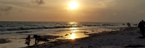 winterwolfof OnlyFans - Free Access to 32 Videos & 49 Photos Onlyfans Free Access