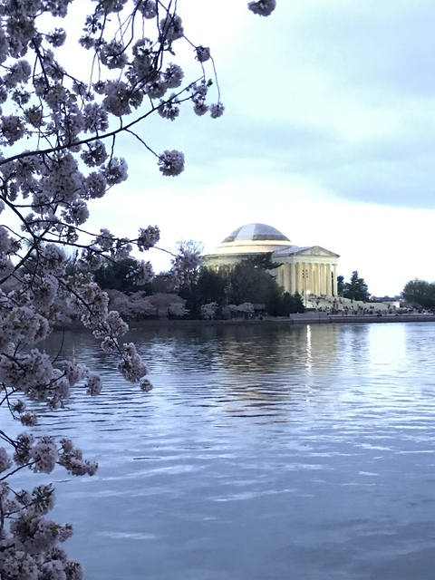 wokewonderwoman OnlyFans - Free Access to 96 Videos & 135 Photos Onlyfans Free Access