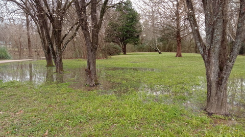 wtolbert OnlyFans - Free Access to 32 Videos & 49 Photos Onlyfans Free Access