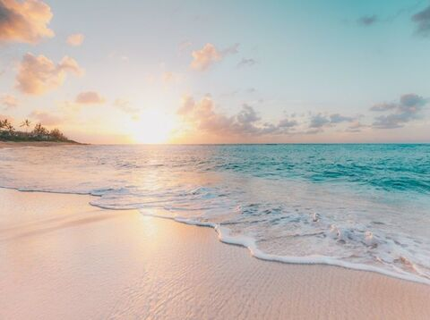 wyldchild OnlyFans - Free Access to 32 Videos & 49 Photos Onlyfans Free Access