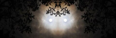 xdamiandragunx OnlyFans - Free Access to 32 Videos & 49 Photos Onlyfans Free Access