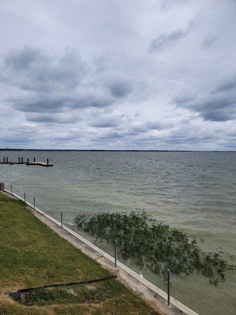 xeon82163071 OnlyFans - Free Access to 32 Videos & 49 Photos Onlyfans Free Access