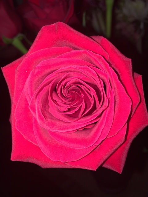 xlaylax OnlyFans - Free Access to 32 Videos & 49 Photos Onlyfans Free Access