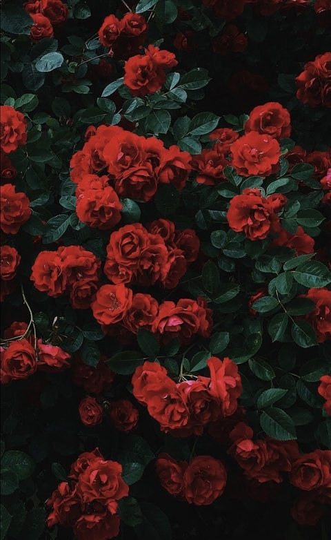 xlennaa OnlyFans - Free Access to 39 Videos & 49 Photos Onlyfans Free Access