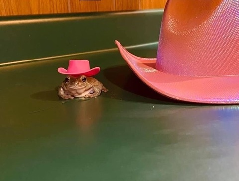 xlildip OnlyFans - Free Access to 32 Videos & 55 Photos Onlyfans Free Access