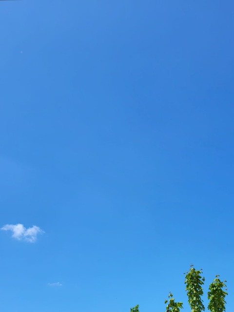 xlindsayevex OnlyFans - Free Access to 32 Videos & 49 Photos Onlyfans Free Access