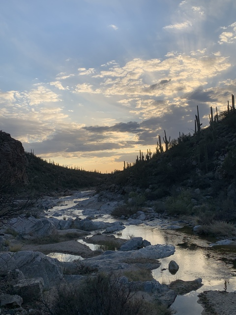 xmaymayhardhardx OnlyFans - Free Access to 32 Videos & 51 Photos Onlyfans Free Access