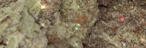 xo.nani OnlyFans - Free Access to 32 Videos & 49 Photos Onlyfans Free Access