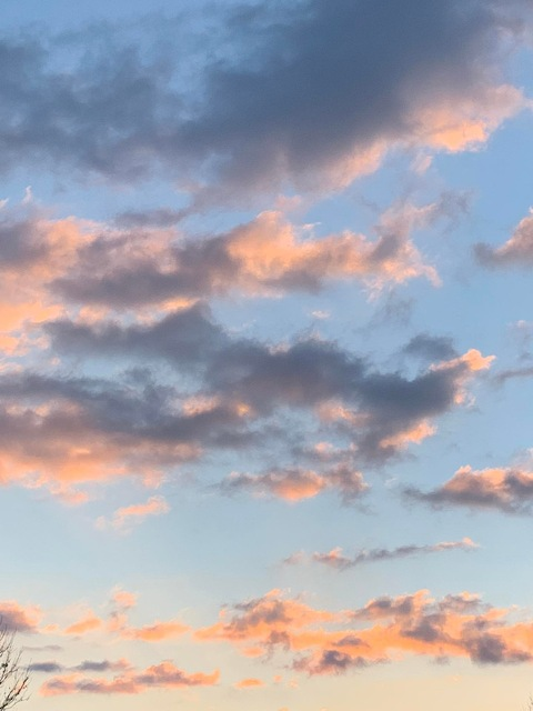 xstollenx1backup OnlyFans - Free Access to 32 Videos & 49 Photos Onlyfans Free Access