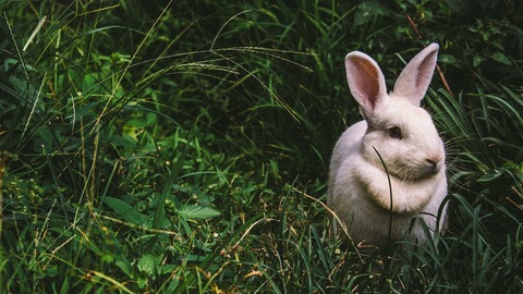 xxxtatic OnlyFans - Free Access to 32 Videos & 49 Photos Onlyfans Free Access