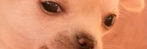 yami_waifu OnlyFans - Free Access to 32 Videos & 49 Photos Onlyfans Free Access