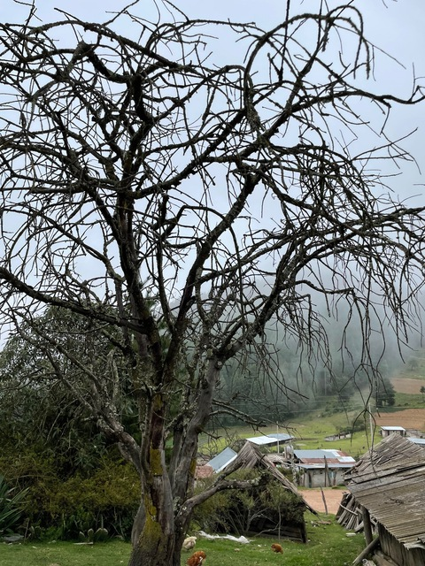 yamisslett OnlyFans - Free Access to 32 Videos & 49 Photos Onlyfans Free Access