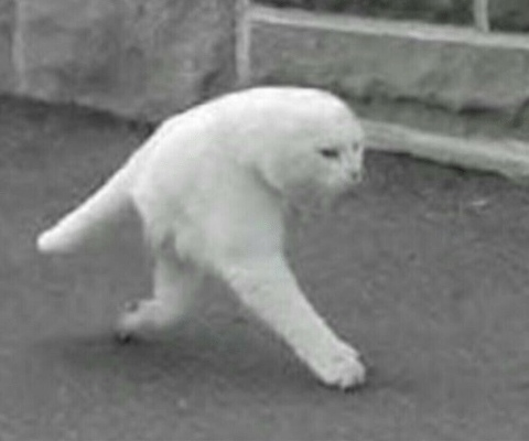 yeezytaughtmee OnlyFans - Free Access to 32 Videos & 49 Photos Onlyfans Free Access