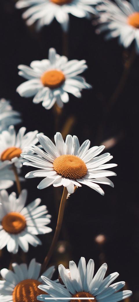 yh7856 OnlyFans - Free Access to 32 Videos & 49 Photos Onlyfans Free Access