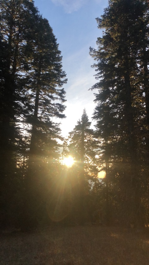 yungkingdc69 OnlyFans - Free Access to 32 Videos & 49 Photos Onlyfans Free Access