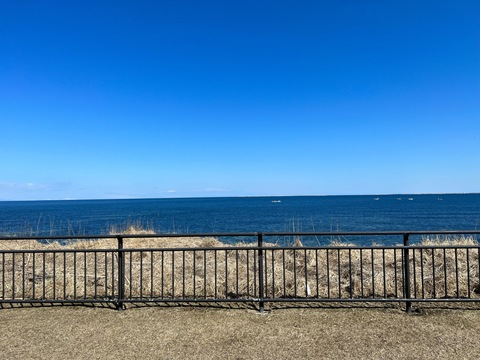 zeturikantoku OnlyFans - Free Access to 49 Videos & 49 Photos Onlyfans Free Access