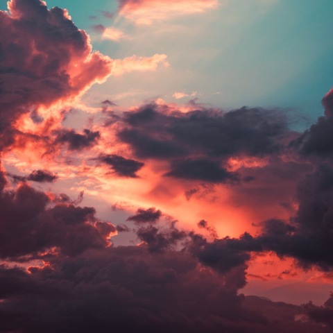zootedziaxx OnlyFans - Free Access to 32 Videos & 126 Photos Onlyfans Free Access